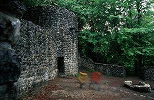 Ruine Wildenburg
