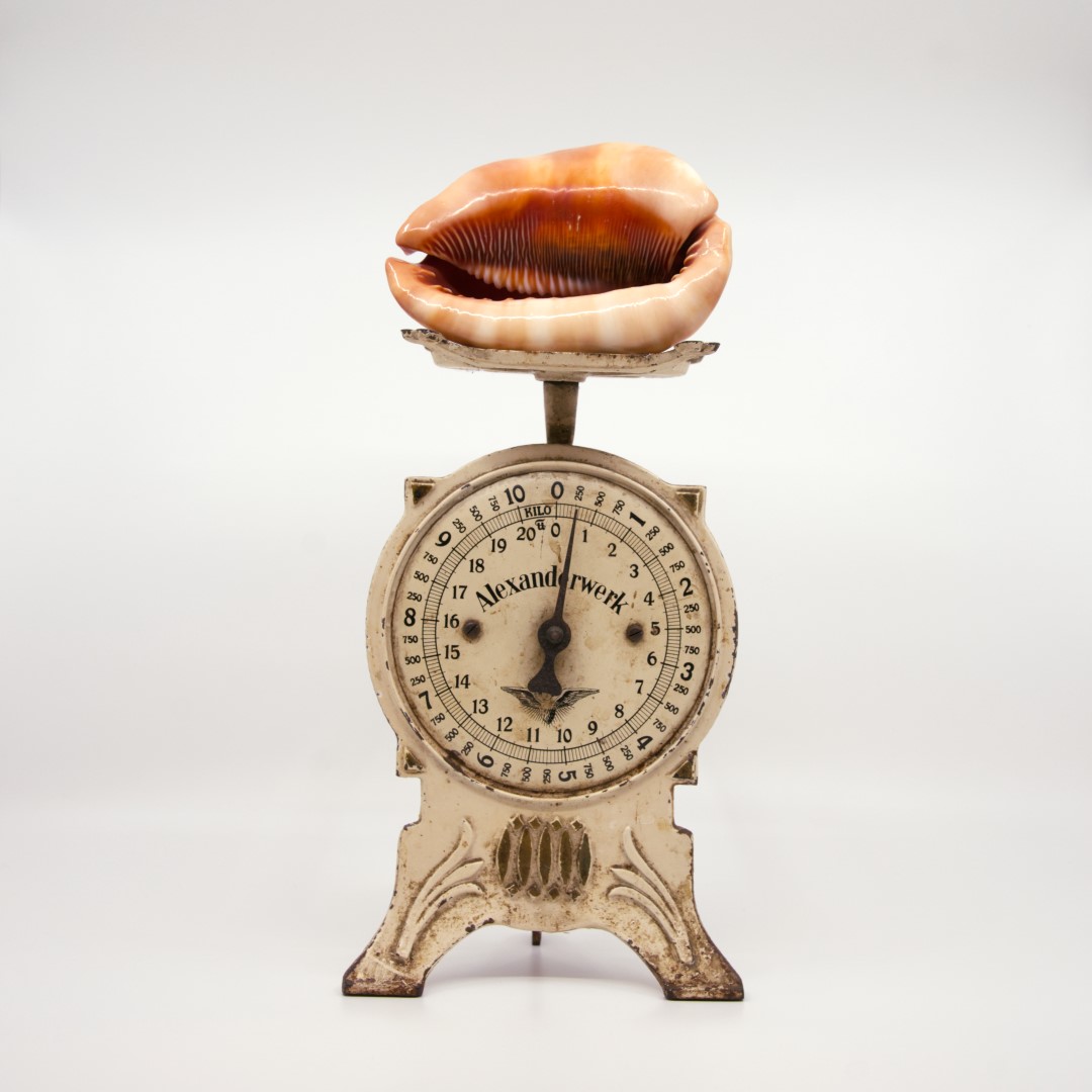 Dieses Lächeln ist 250 Gramm schwer. Wie schwer ist dein Lächeln? Die Waage stand in der Küche meiner Grossmutter und die Muschel brachte eine Freundin aus den Ferien mit. Es sind Dinge aus verschiedenen Zeiten und Kulturen, die in einen Dialog miteinander treten. Für mich ist es ein Objekt, das Dinge, die nicht zusammengehören, vereint und ungewohnte Fragen stellt. Es ist zum Lachen, nicht?