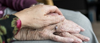 Hand