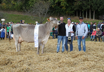 Miss Goldingen