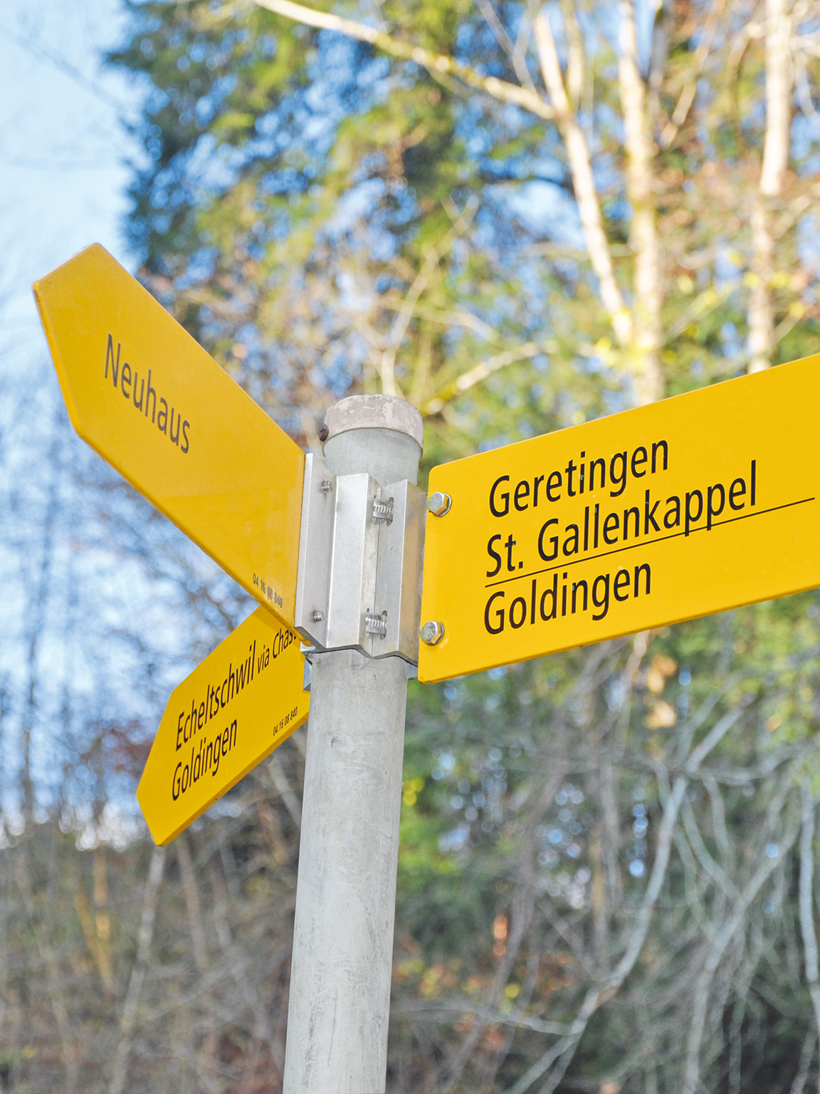 Grenzweg