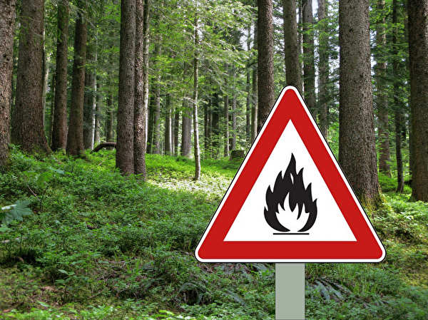 Waldbrandgefahr