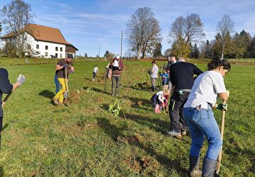 Nationaler Heckentag