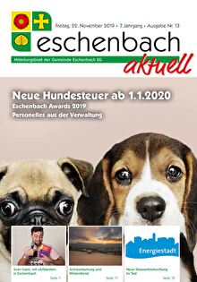 Neue Hundesteuer ab 1.1.2020