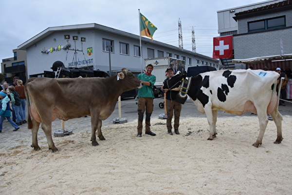 Viehschau Eschenbach