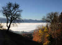 Herbst mit Nebel
