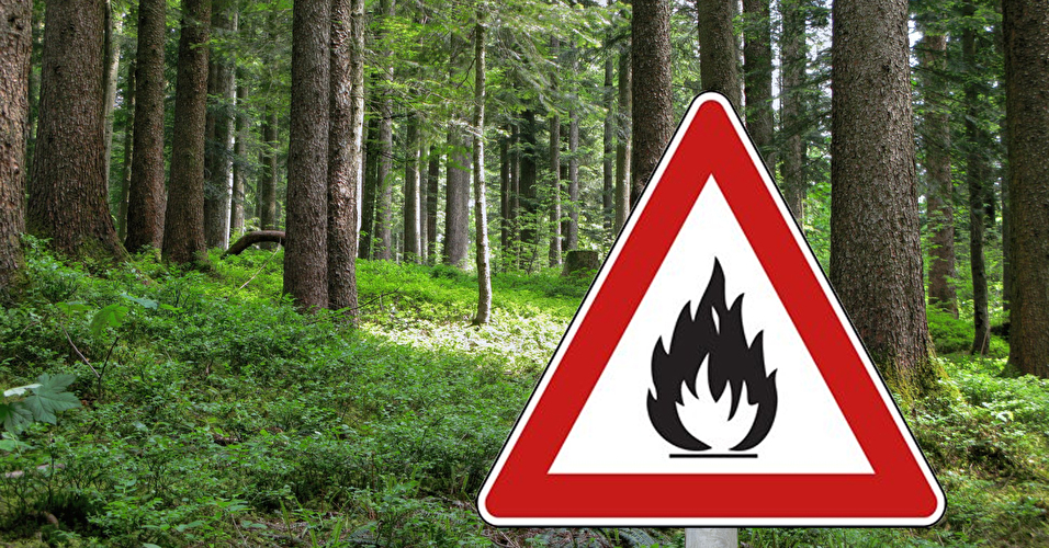 Waldbrandgefahr Eschenbach
