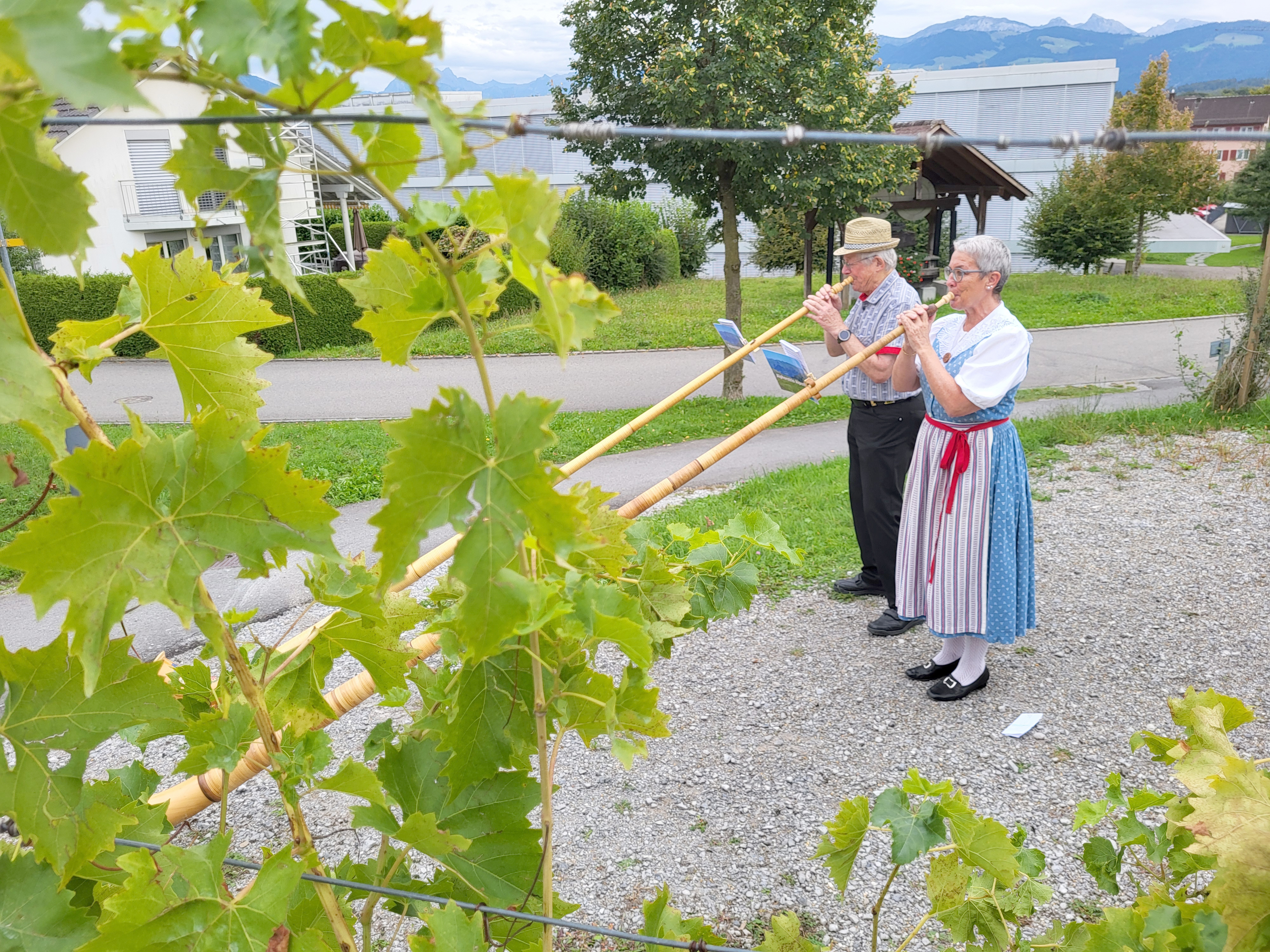 Rebenfest