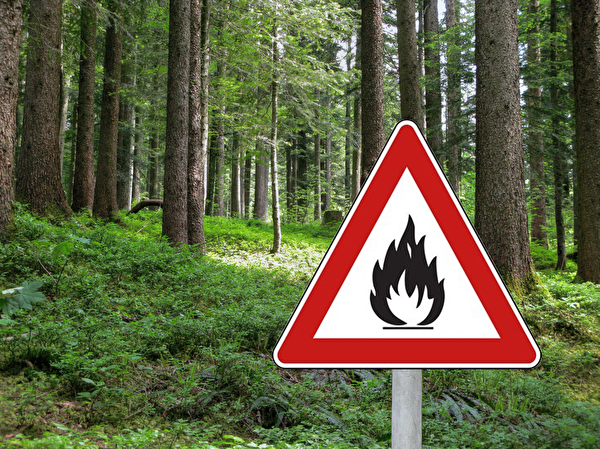 Waldbrandgefahr Eschenbach