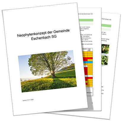 Neophytenkonzept Gemeinde Eschenbach