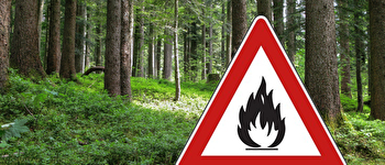 Waldbrandgefahr Eschenbach
