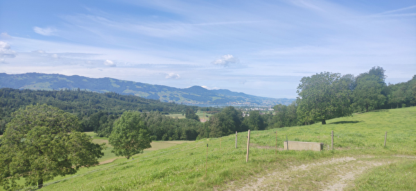 Eschenbacher Grenzweg Etappe 1