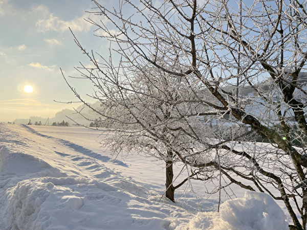 Winterlandschaft