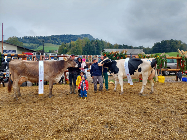 Viehschau Miss St. Gallenkappel 2024 Braunvieh Fleckvieh