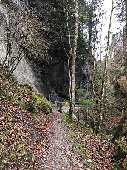 Fussweg im Aabachtobel mit abgebrochenem Felsblock