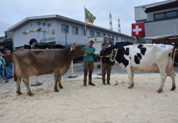Viehschau Eschenbach
