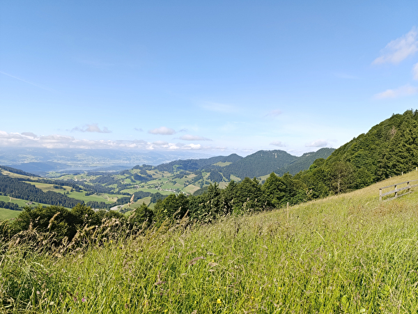 Eschenbacher Grenzweg
