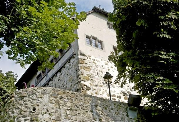 Das Schloss Oberberg, eigentlich ein Wohnturm, wurde erstmals 1262 urkundlich erwähnt. Es war Sitz von Beamten des Klosters St. Gallen, welche die äbtischen Güter beaufsichtigten. Im Jahr 1406 wurde es in den Unabhängigkeitskämpfen der Appenzeller und St. Galler eingeäschert. Anfang des 15. Jahrhunderts befand sich das Schloss Oberberg im Besitz der Edlen von Andwil, welche es 1452 dem Heilig-Geist-Spital St. Gallen verkauften. 30 Jahre später gelangte es wieder in Besitz des Klosters. 