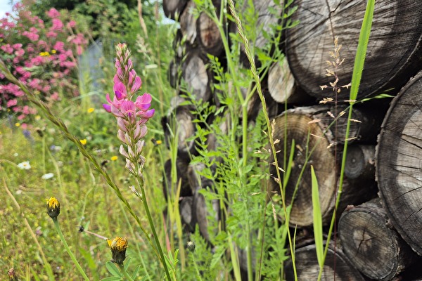 Biodiversität