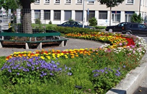 Rabatte beim Lindenplatz