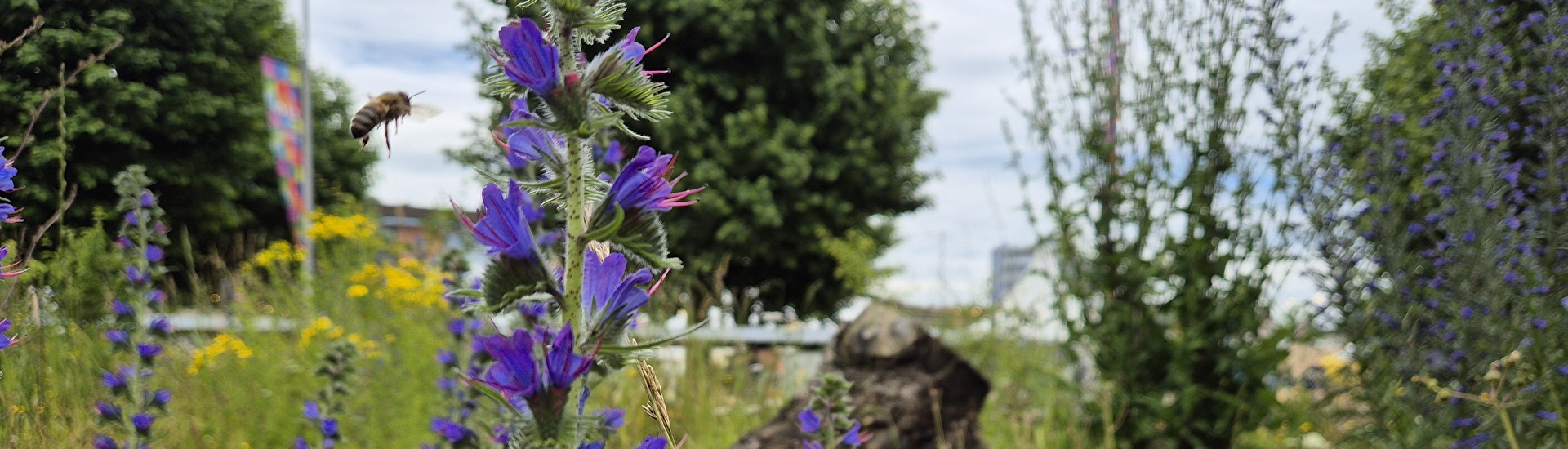 Biodiversität