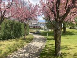 Betagtenzentrum