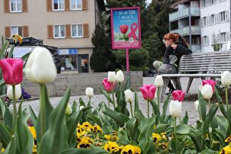 Bepflanzte Blumenrabatte
