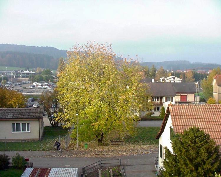 Oktober