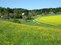 Safenwil im Frühling