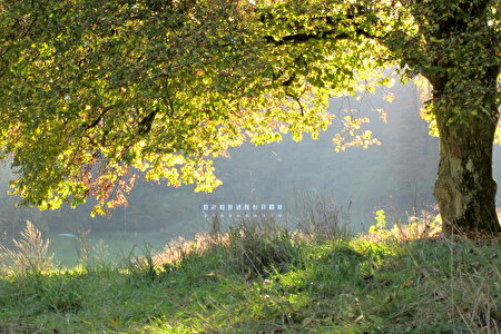 Safenwil im Herbst