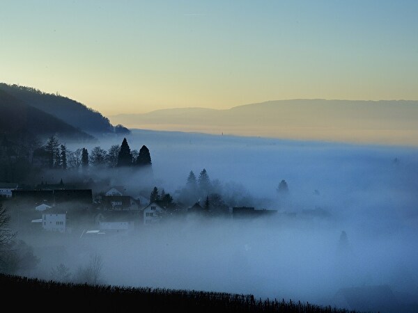 Mannenbach im Nebel