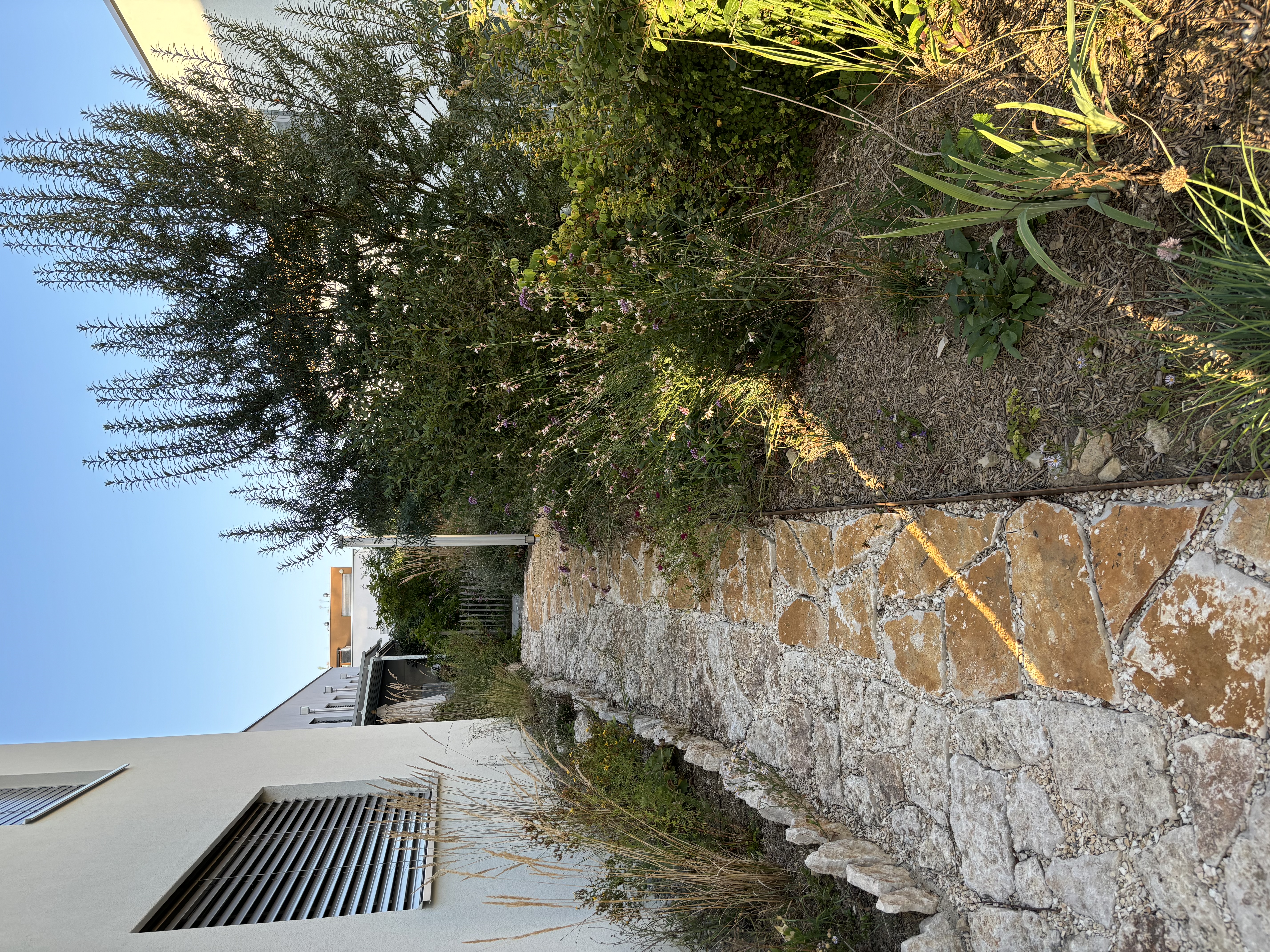 Garten1