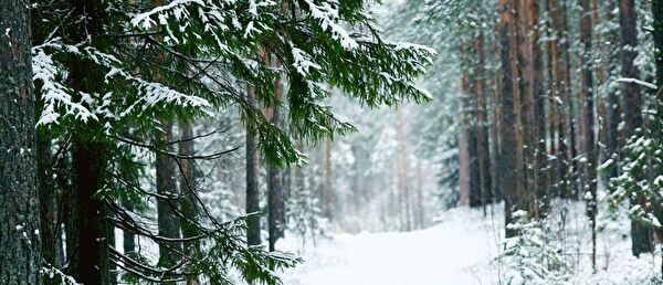 Winterbild