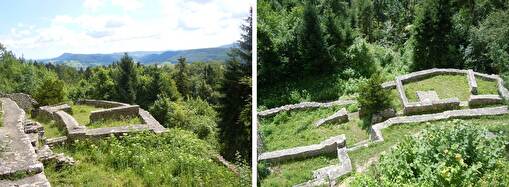 Ruinenmauern umgeben von Gras und Wald