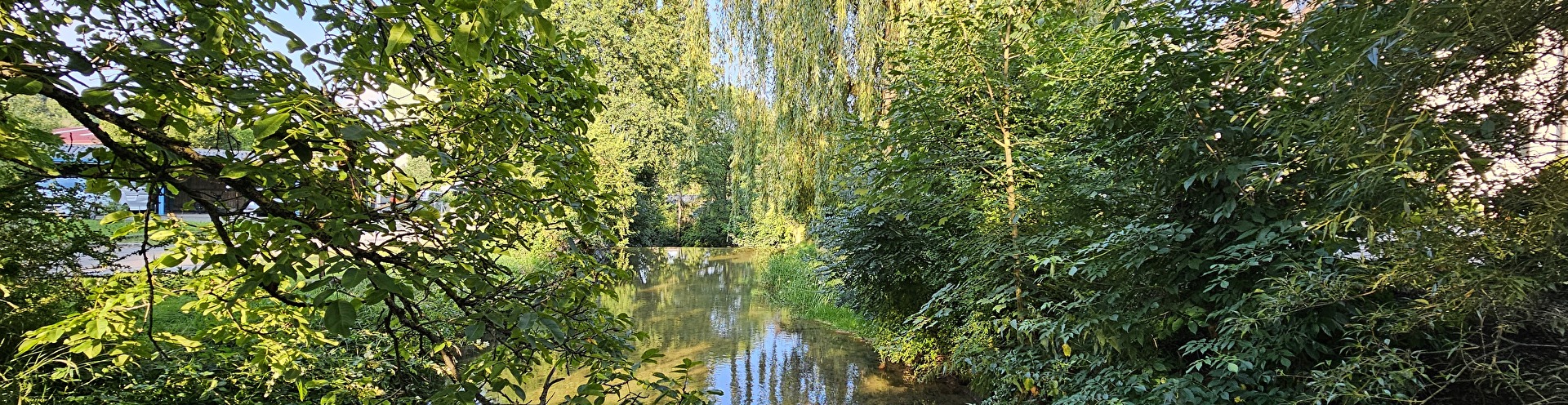Frühling