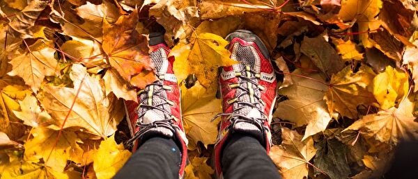 Herbstbild
