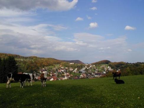 Wohnen, Landwirtschaft und Natur harmonisch zusammengefügt