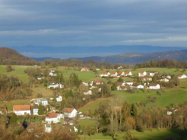 Das Rüdenbüscheli stellt den östlichen Dorfteil dar. Die Bautätigkeit begann ca. 1945. Das Rüdenbüscheli entwickelte sich in den letzten 60 Jahren zu einem schmucken Dorfteil am Südwesthang.
