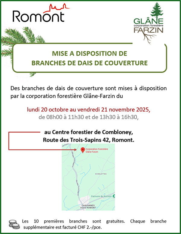 Annonce détaillée 