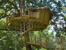 Cabane dans un arbre