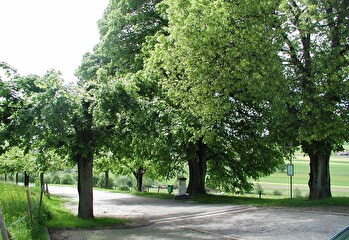 Borne Euro-Relais