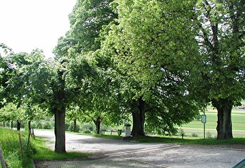 Borne Euro-Relais