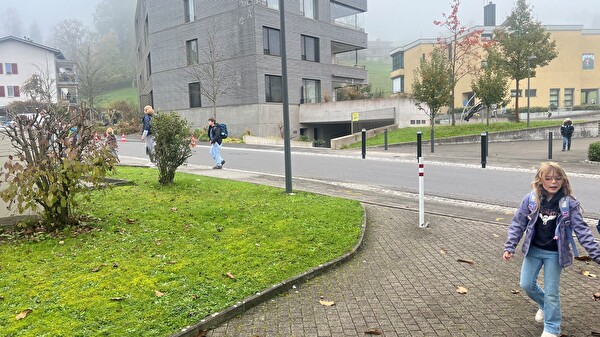 Querung Rigistrasse