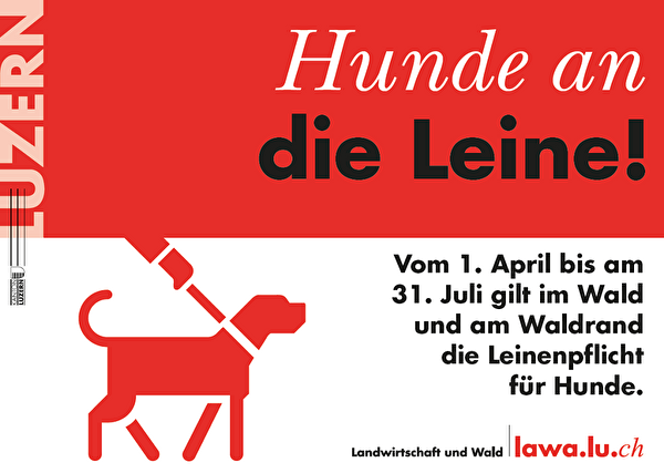 Hunde an die Leine