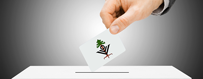 Gemeindebehördenwahl