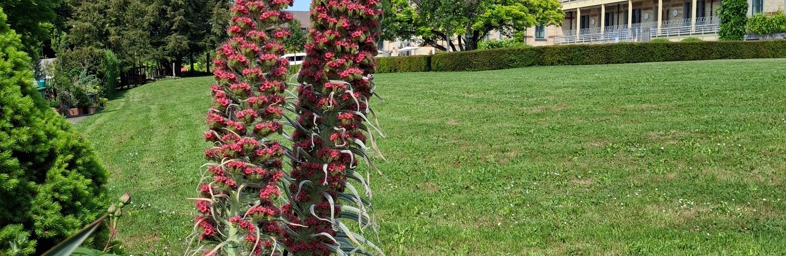 botanischer garten