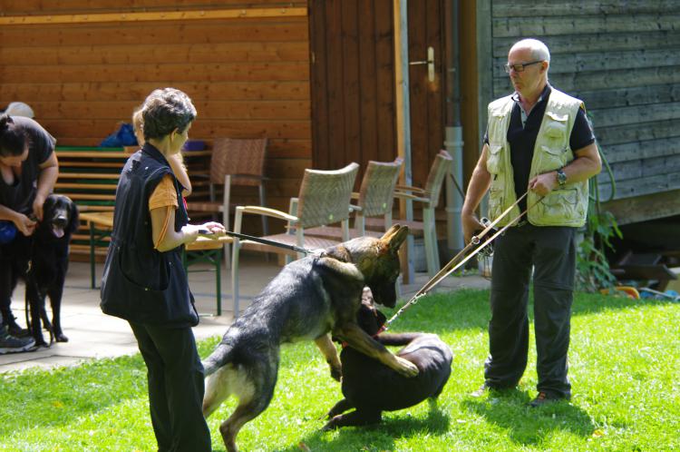 Ferienpass 2017