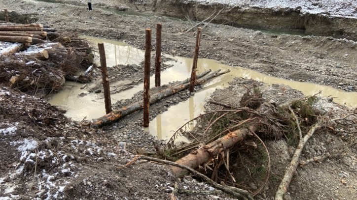 Januar 2024: Ausfachungsbuhnen sorgen für vielfältige Strömungsverhältnisse im Fluss. Zwischen die gerammten Pfähle kommen Holzstämme samt Astwerk zu liegen.