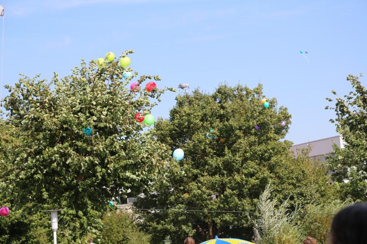 Ferienpass Abschlussfest