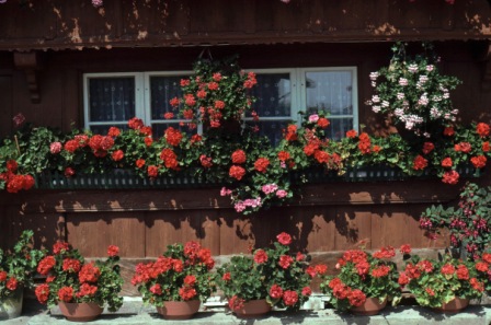 Bauernhaus in Dietisberg, um 1980